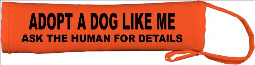 Adopt A Dog Like Me Ask The Human For Details Lead Cover / Slip